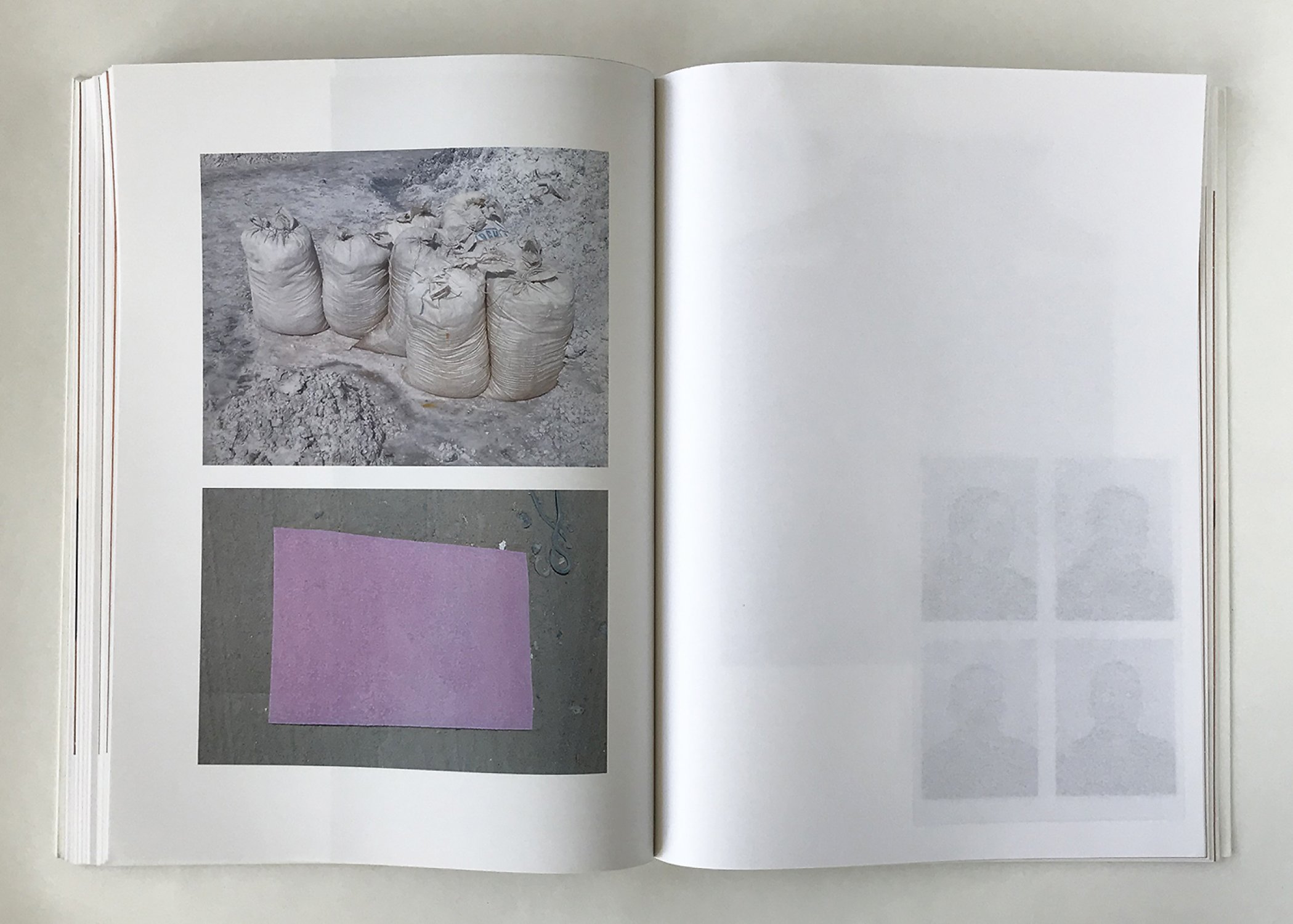 Viviane Sassen: Umbra by Viviane Sassen: New Soft cover (2015) 1st