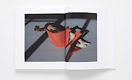  Viviane Sassen: In and Out of Fashion: 9783791348285