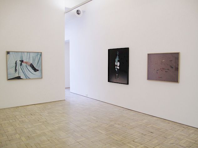 Viviane Sassen - - Exhibitions - Danziger Gallery